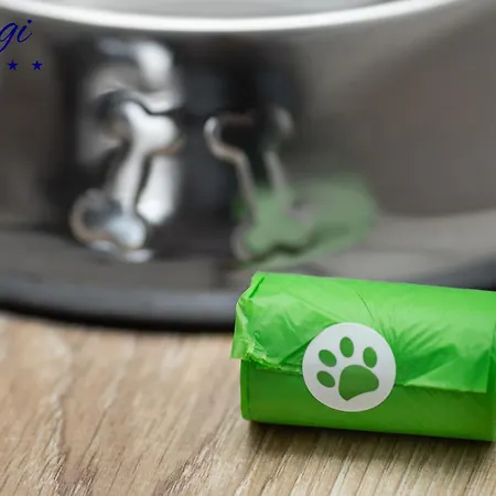 Margi Smart Hanza Pool Sauna