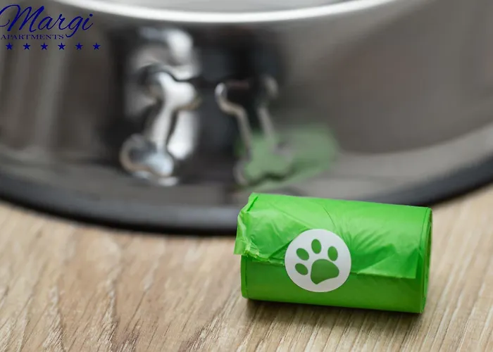 Margi Smart Hanza Pool Sauna